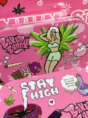 Baked bunny stash tin green fairy