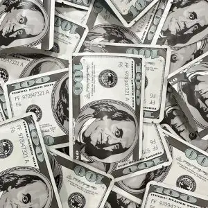 10 X Hundred dollar us note stash bag mylar zip lock large size 12cm